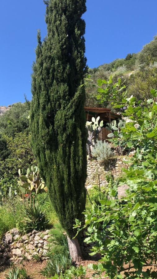 Vistalago Garden Doria Monteleone Rocca Doria ภายนอก รูปภาพ